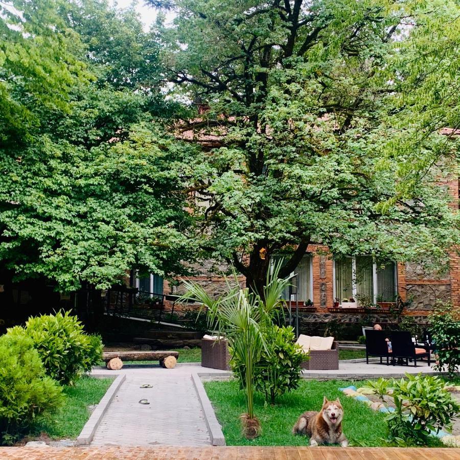 Wald Hotel Lagodekhi Exterior photo