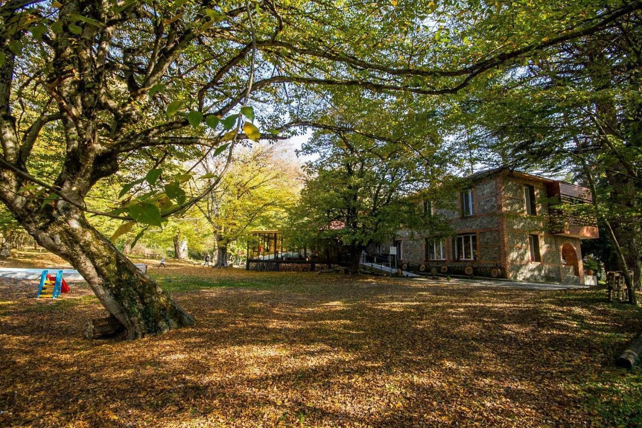 Wald Hotel Lagodekhi Exterior photo
